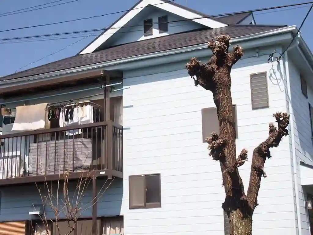 ぽけっとはうす 外観