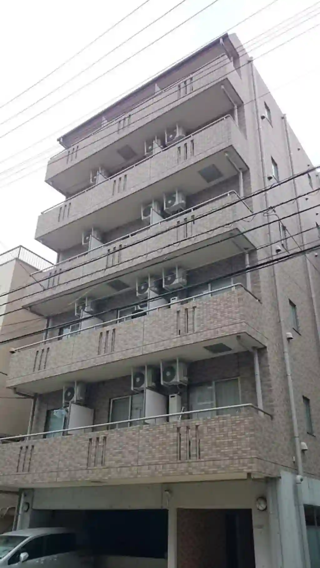 サイプレス 外観