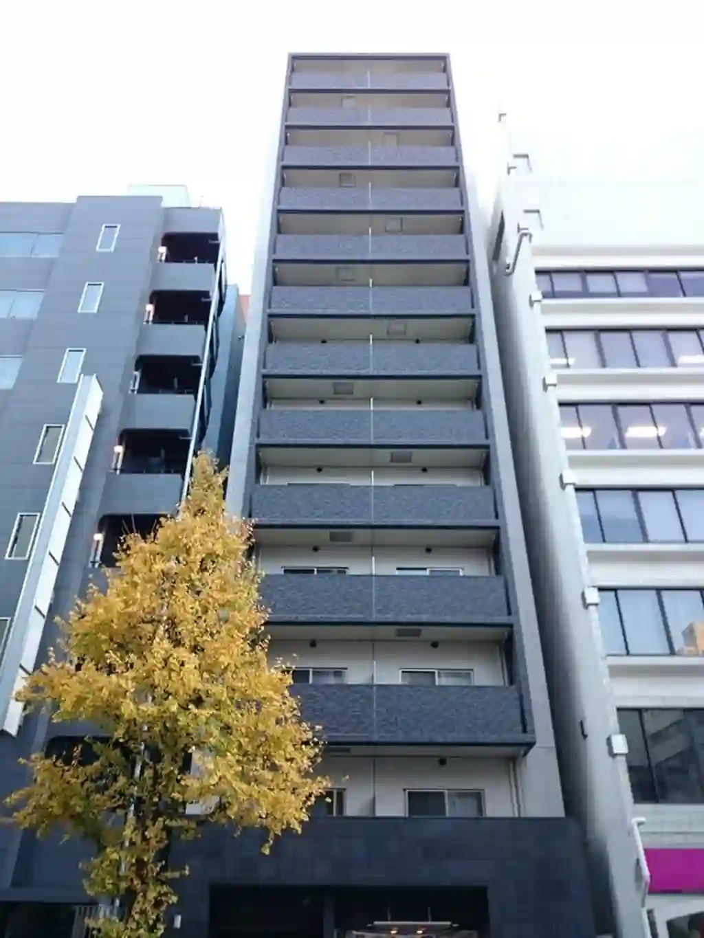 チェスターハウス岩本町 外観