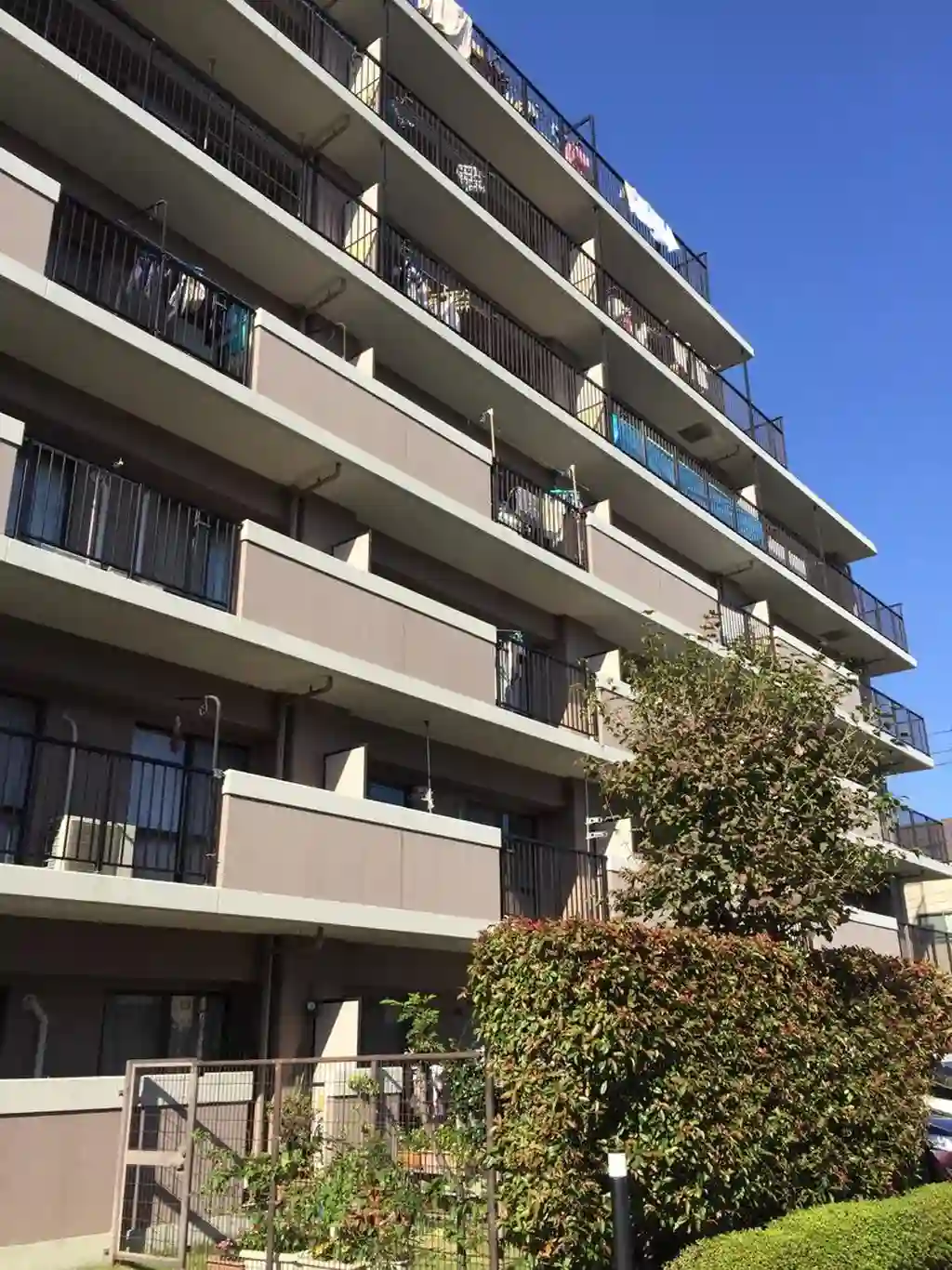 モンセーヌ大宮 外観