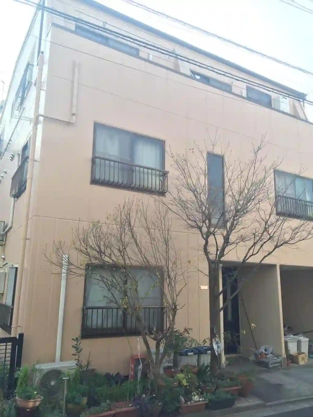 ラフォーレ桜木 外観