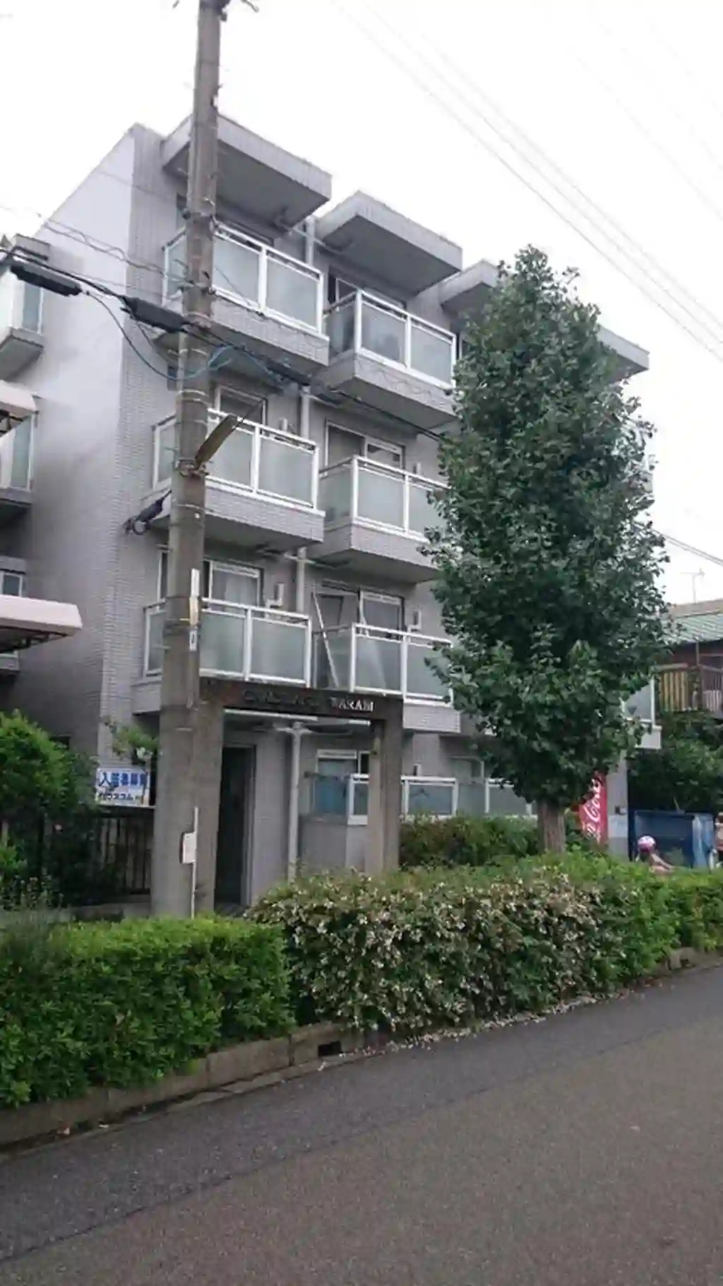グレースランド・ワラビ 外観