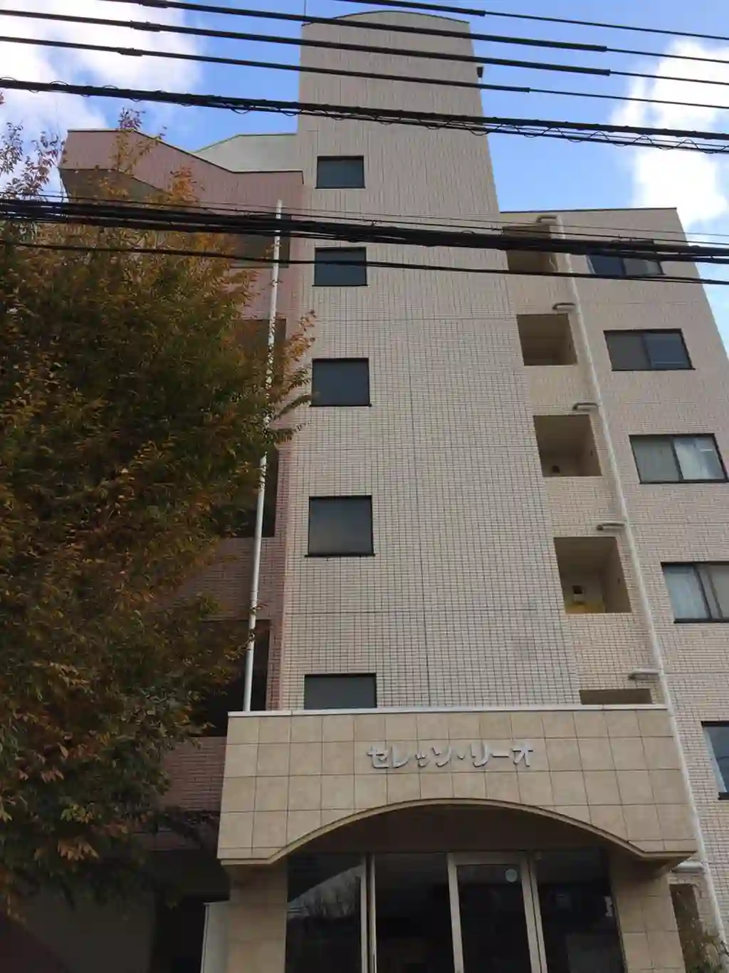 セレッソリーオ 外観