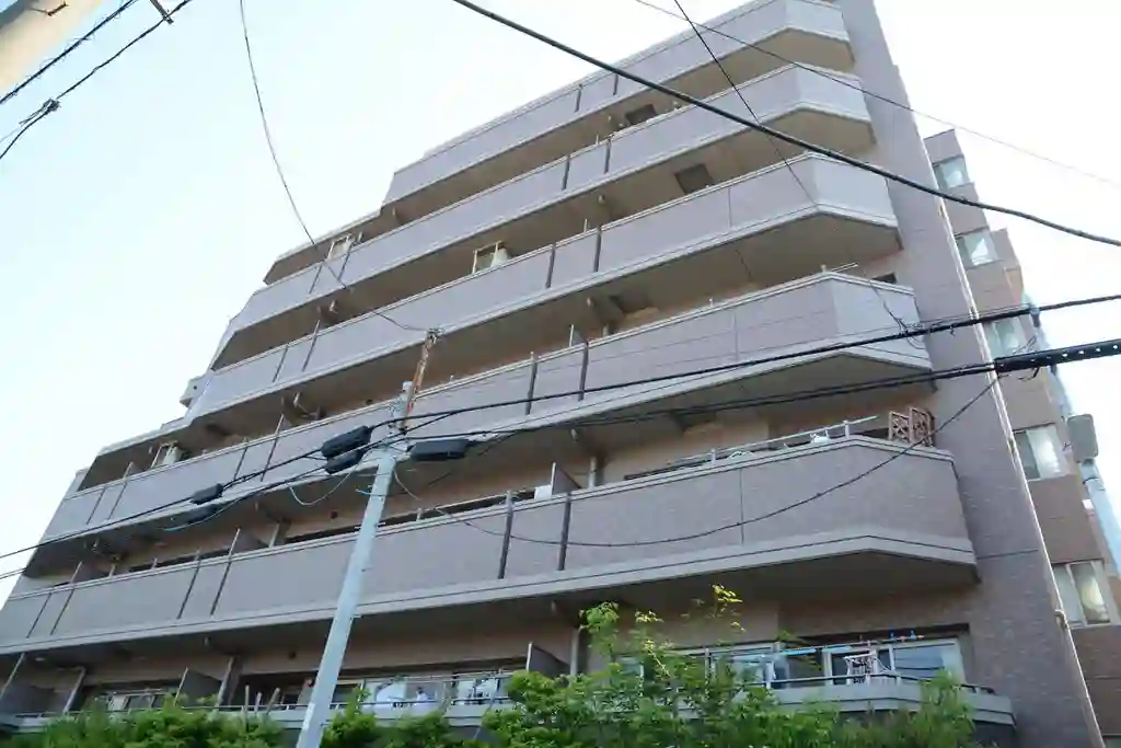 ナイスブライトピア新川崎 外観