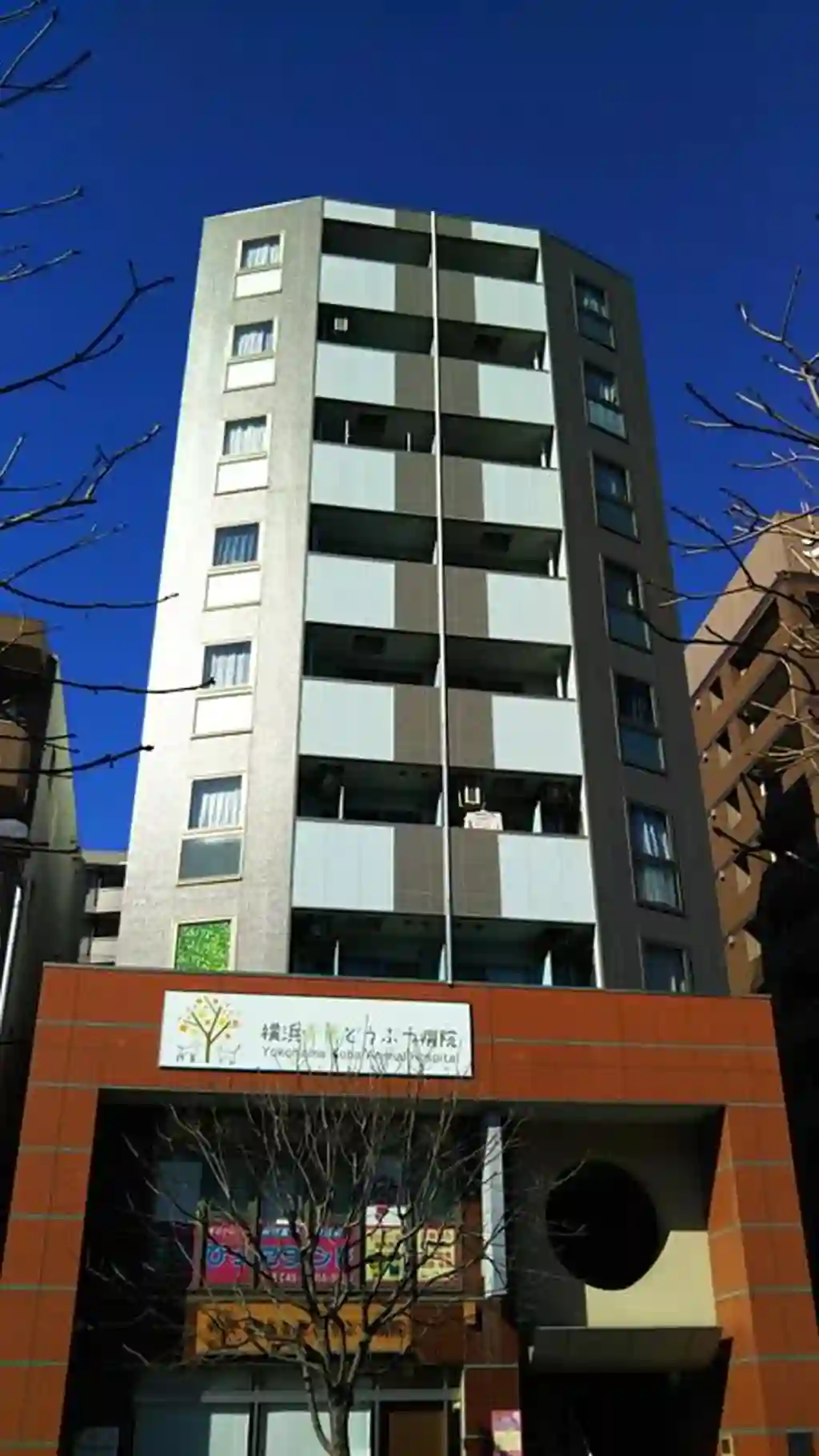 プリムローズ 外観