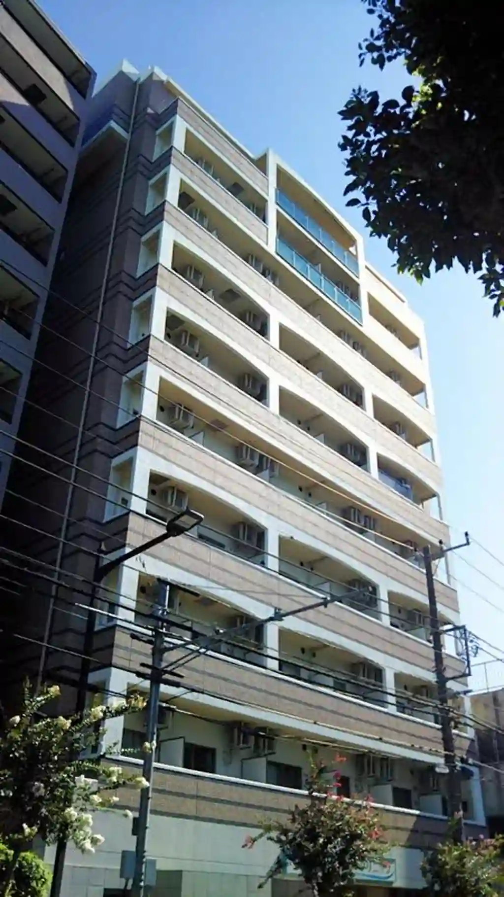 カンパニュラ 外観