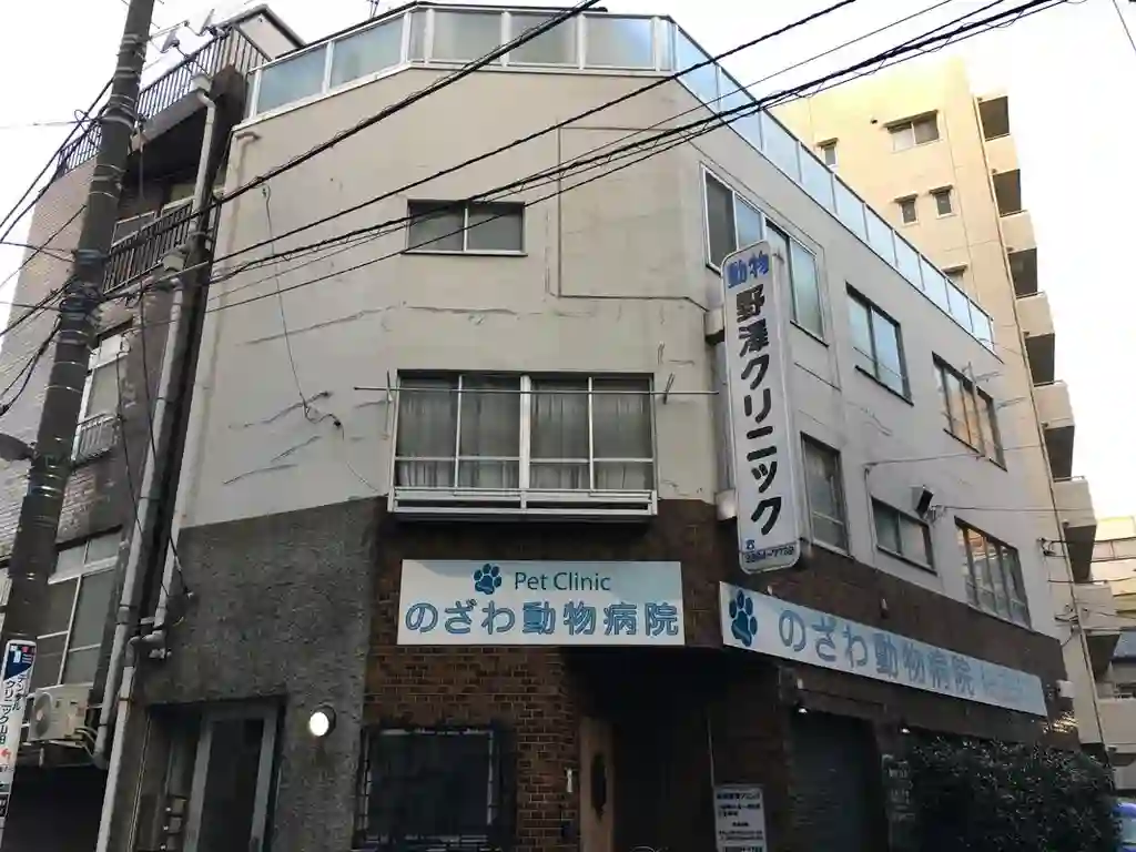 野澤マンション 外観