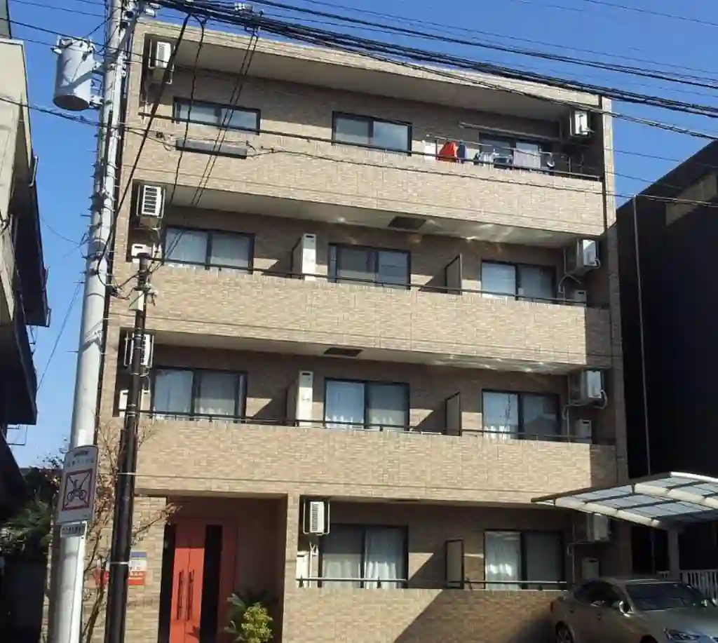 鷸 外観