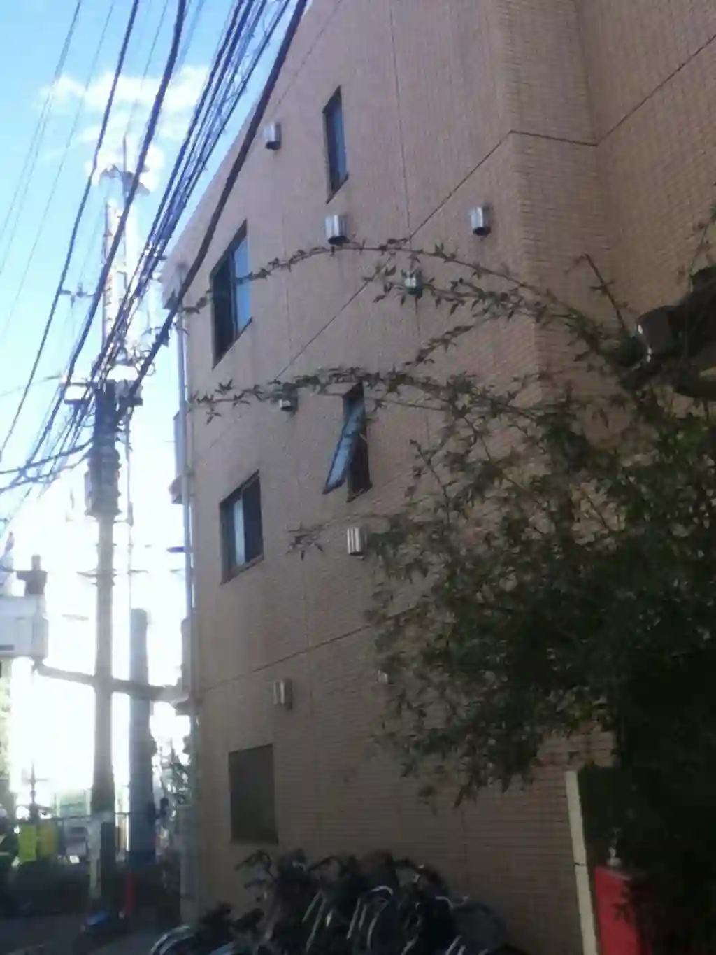 ビラコデマリ 外観