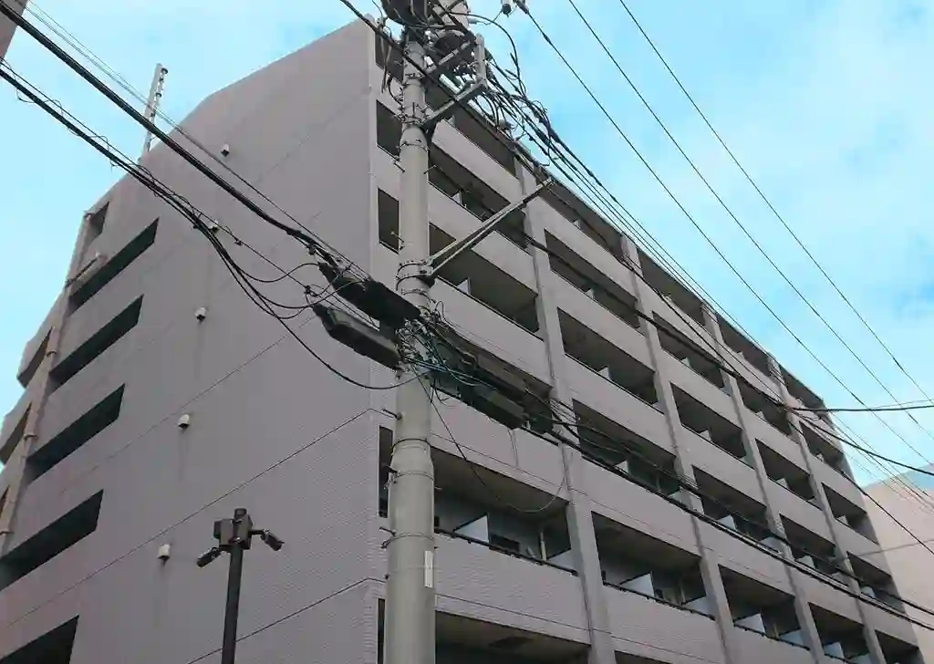 ドミール目白北東製粉株ビル 外観