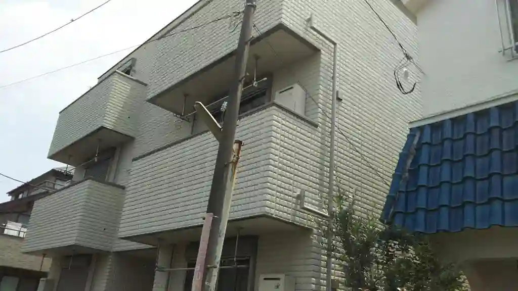 チェルシー 外観