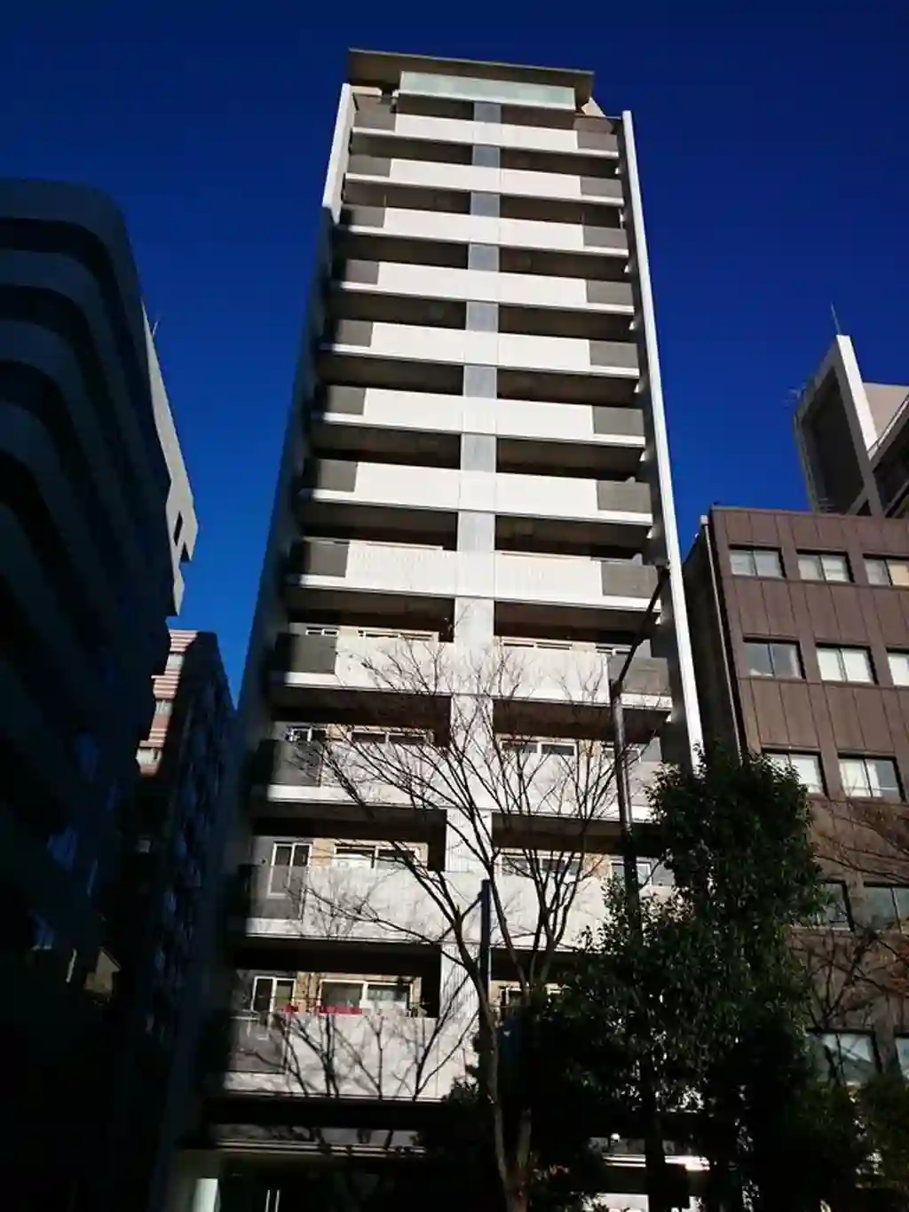 アスコットパーク日本橋浜町公園 外観