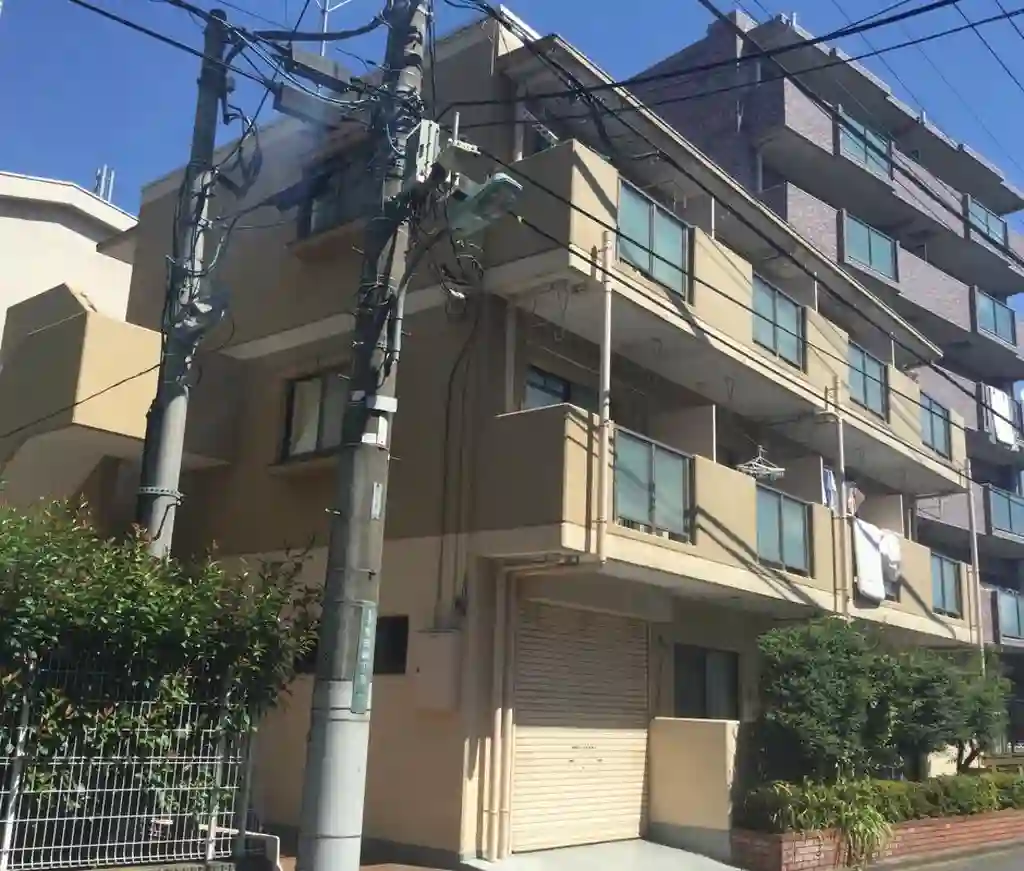 ハイムナカザワ 外観