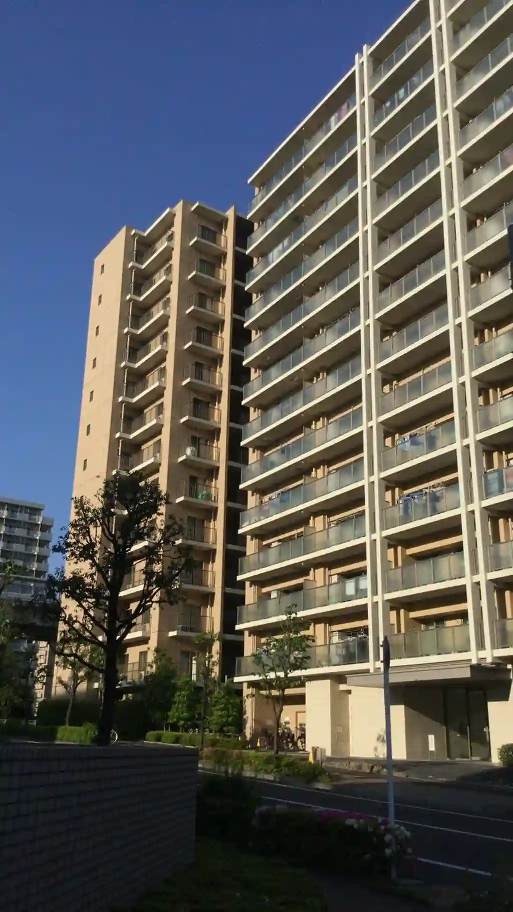 キャピタルガーデン東大島ソレア 外観