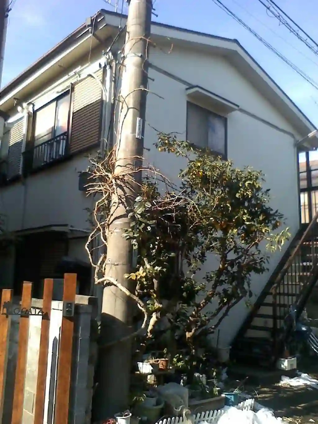 さがみハイツ 外観