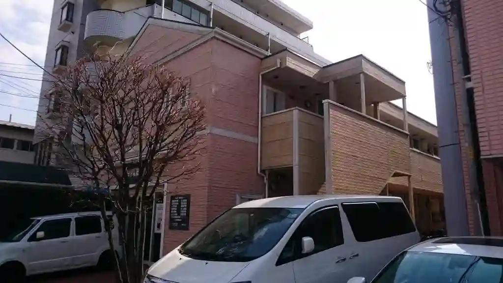 オリーブ 外観