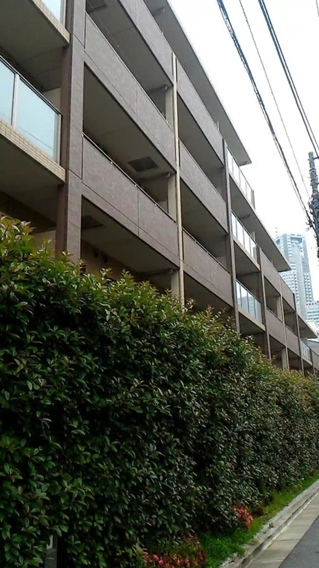 メゾンカルム西新宿 外観