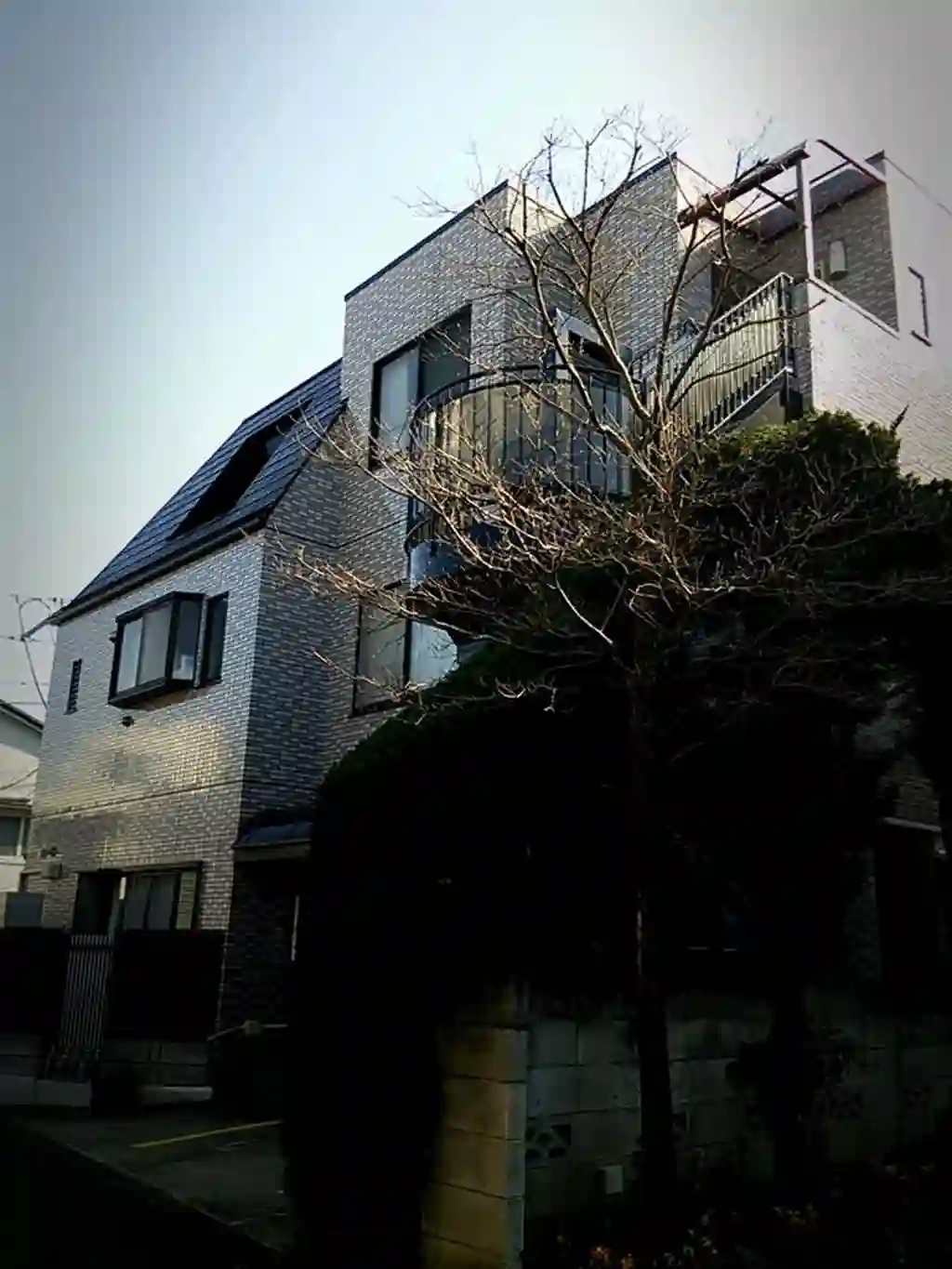 サン・ドミール 外観