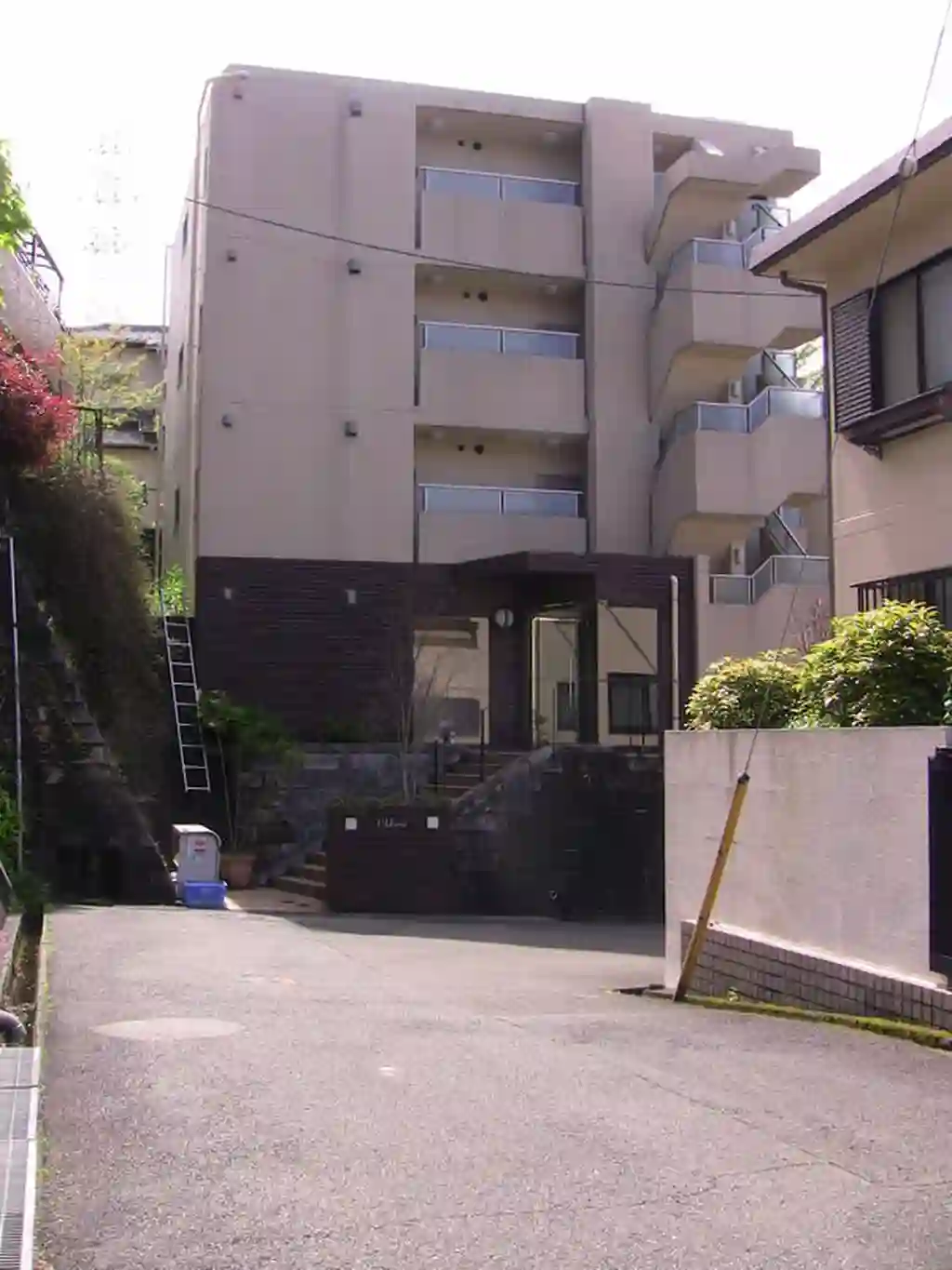 クロリス 外観