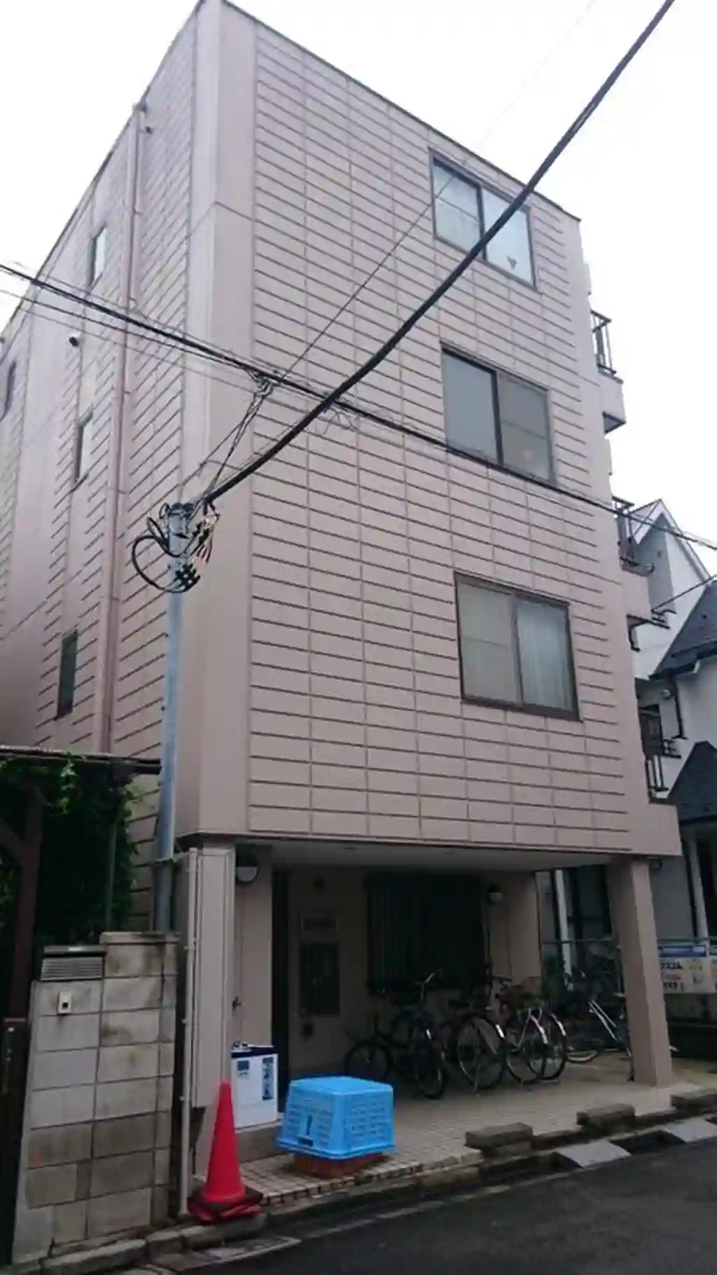 NDSシラカシ 外観