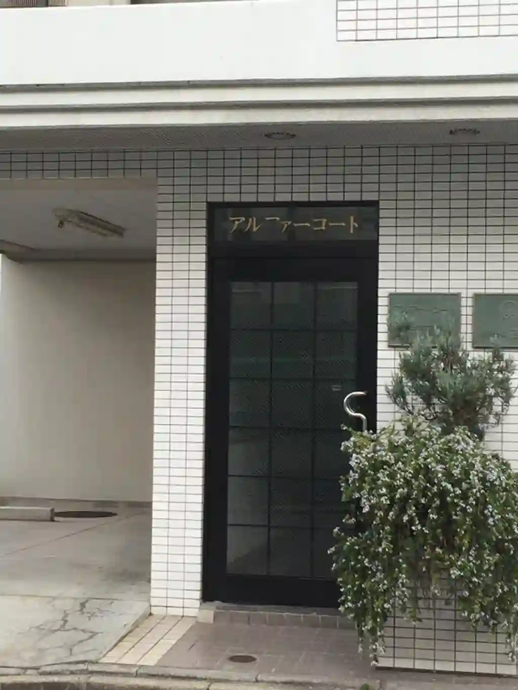 アルファーコート 外観