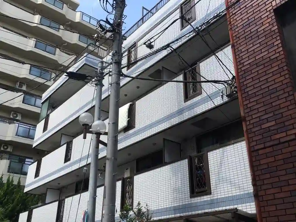 シャトレーナルシマ 外観