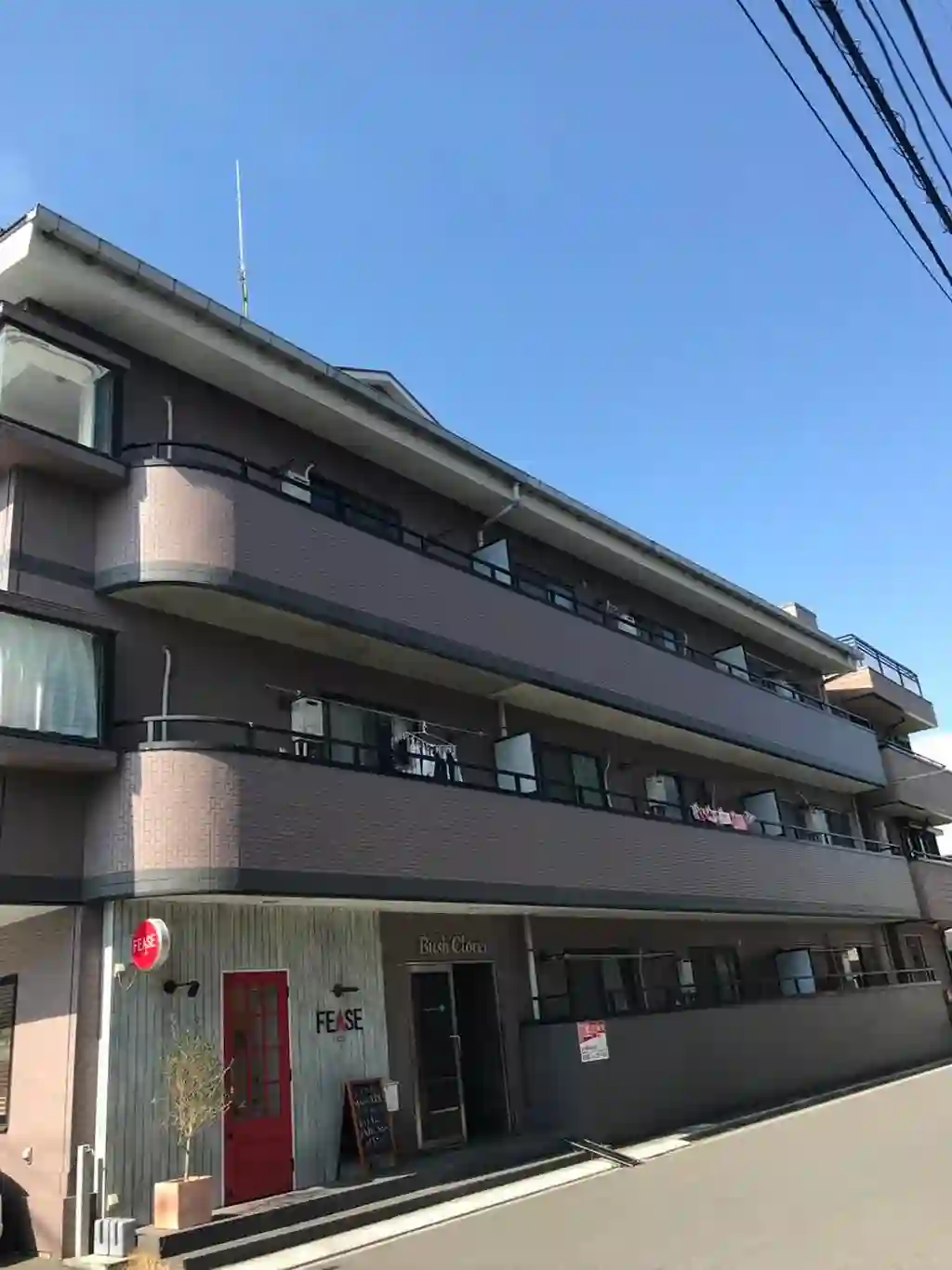 ブッシュクローバー 外観