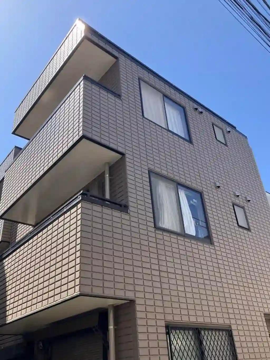 ピソクリサンテモ 外観