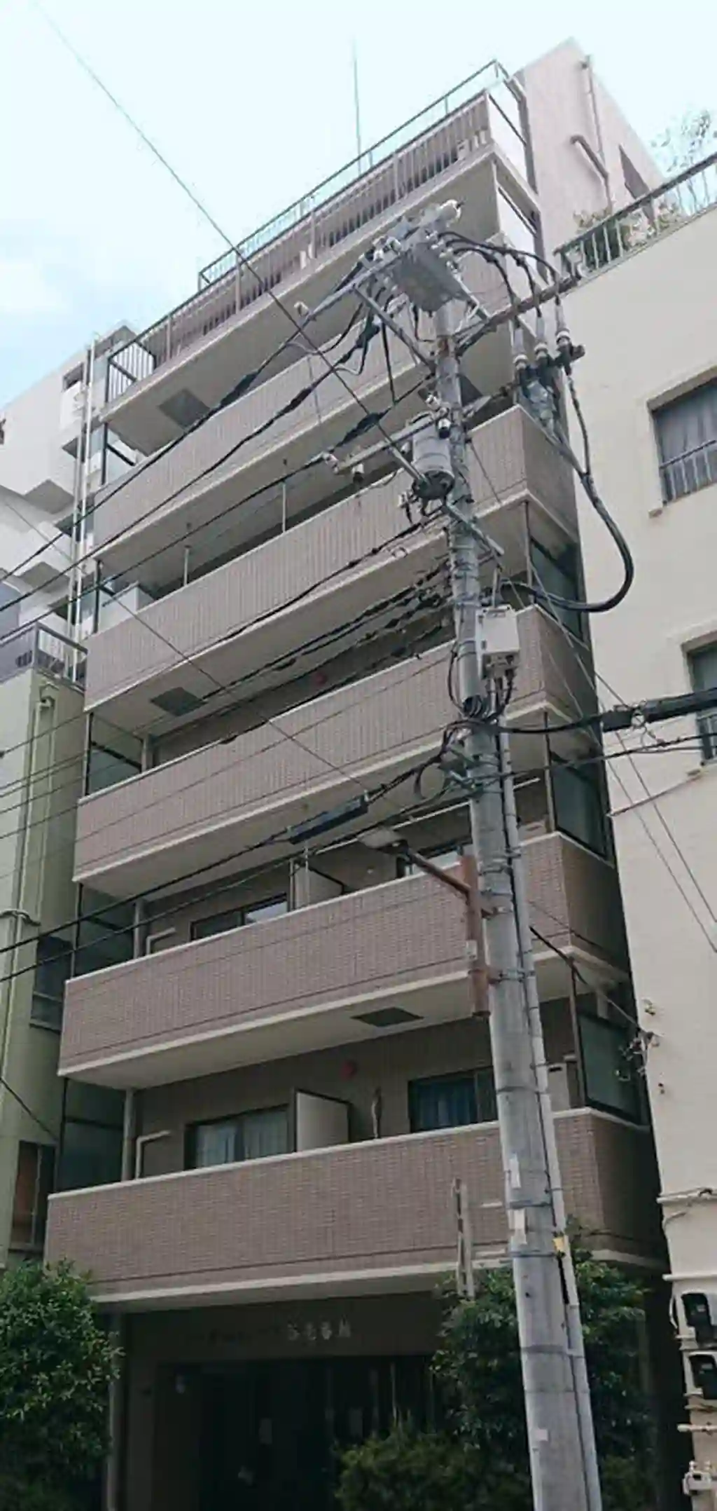 シーガルハイツ入谷壱番館 外観