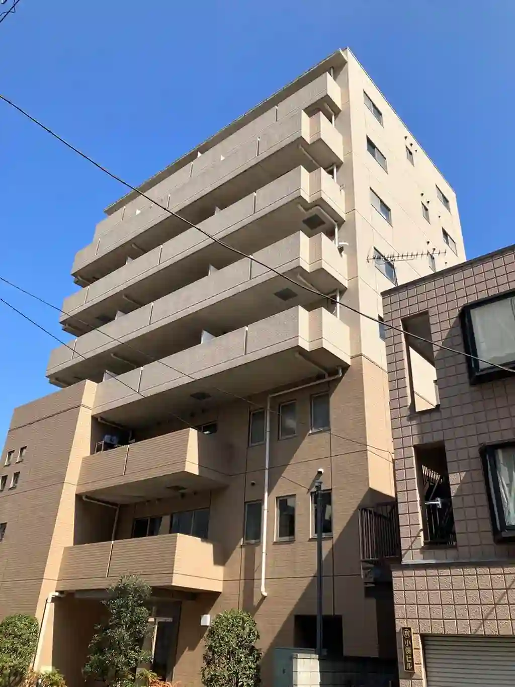 弥生交通本社ビルベルジュ弥生町 外観