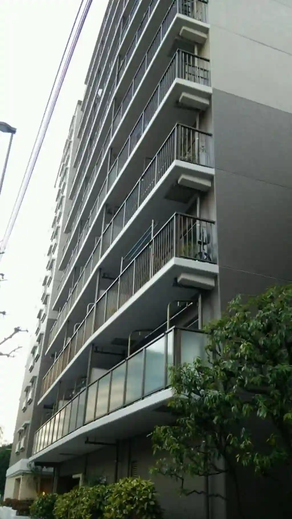 ライネスハイム大森 外観