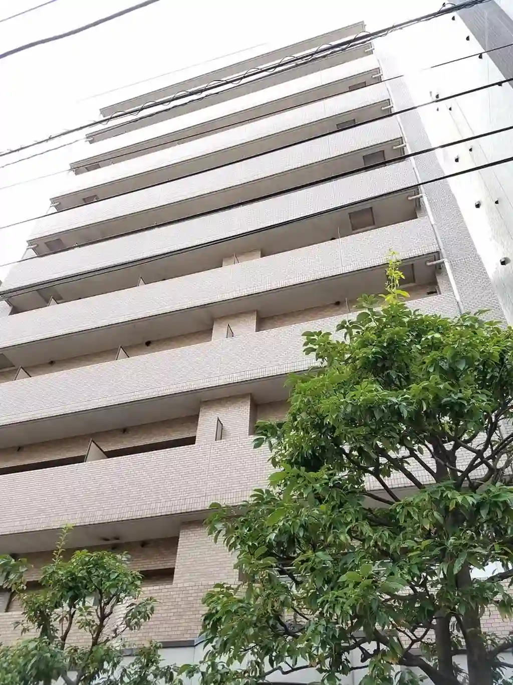 日神パレステージ関内 外観