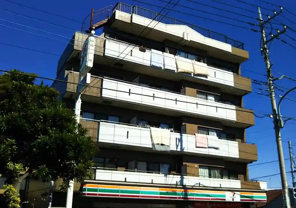 ミレニアム パレス 外観