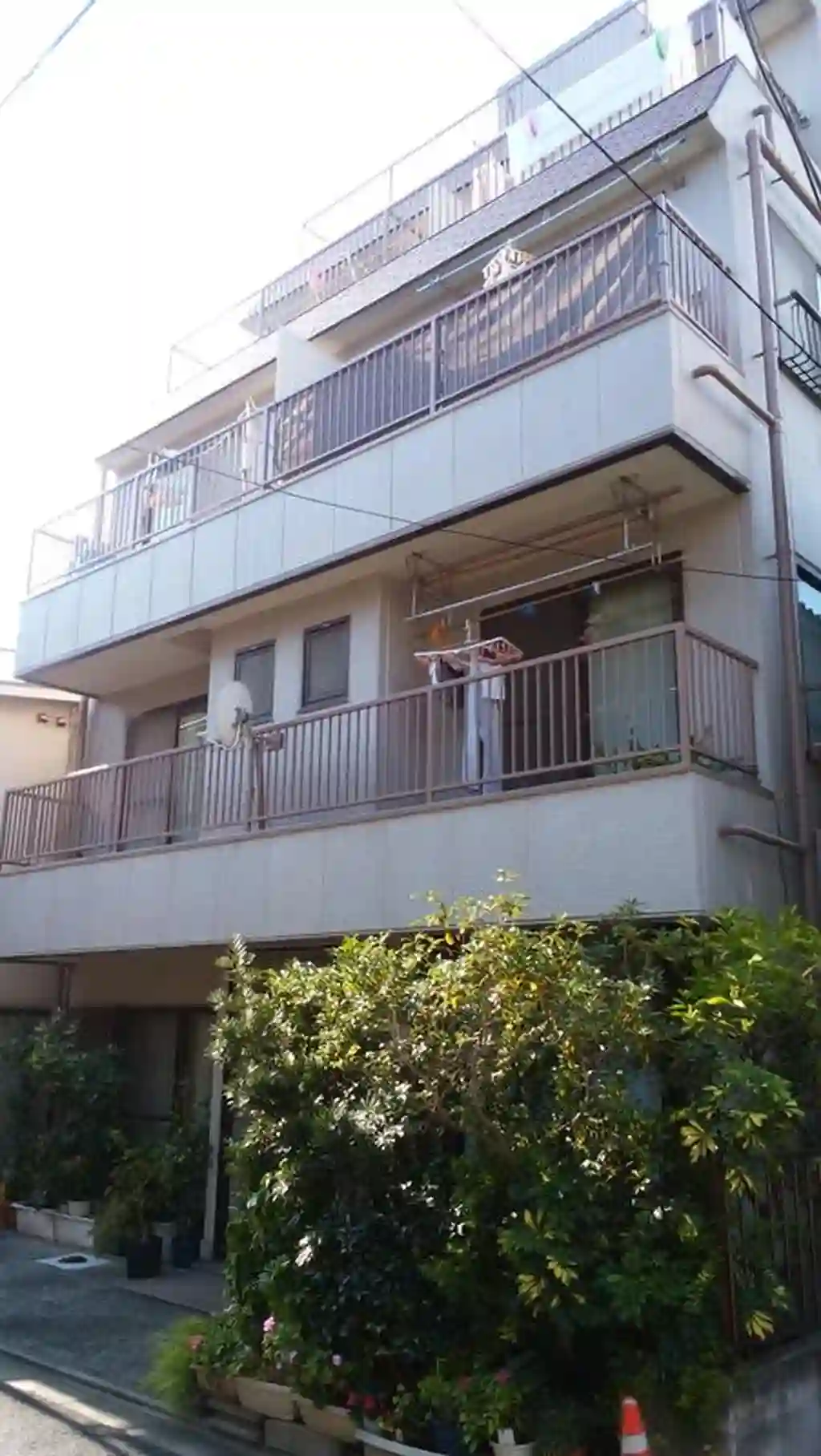 パショリ白金 外観