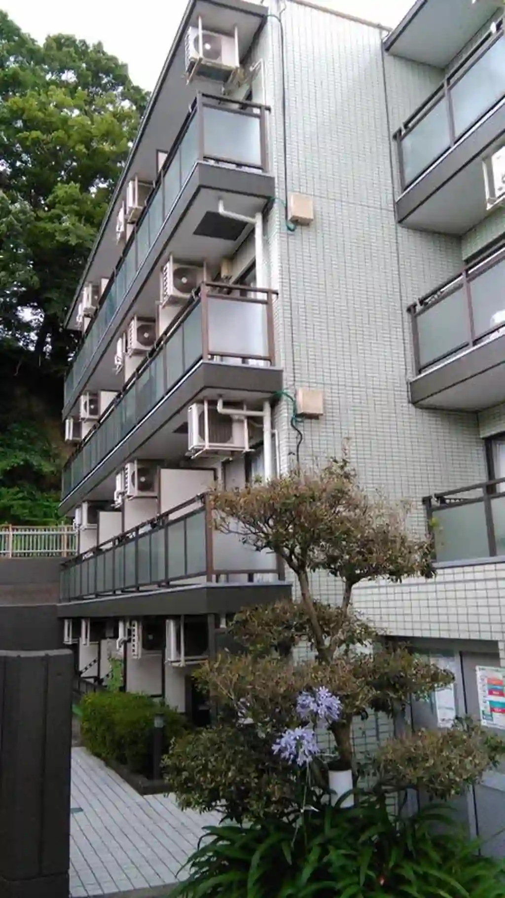 サンフラワー向ヶ丘 外観