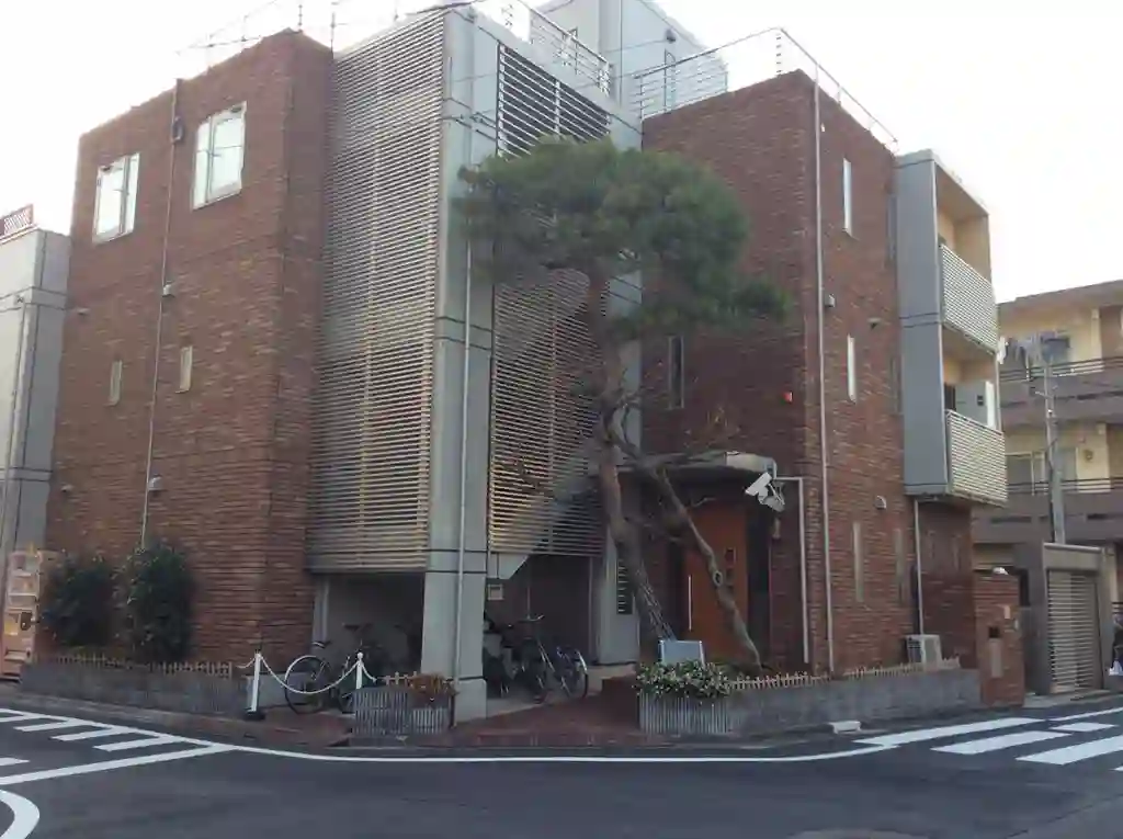 マジェスティ学芸大学 外観