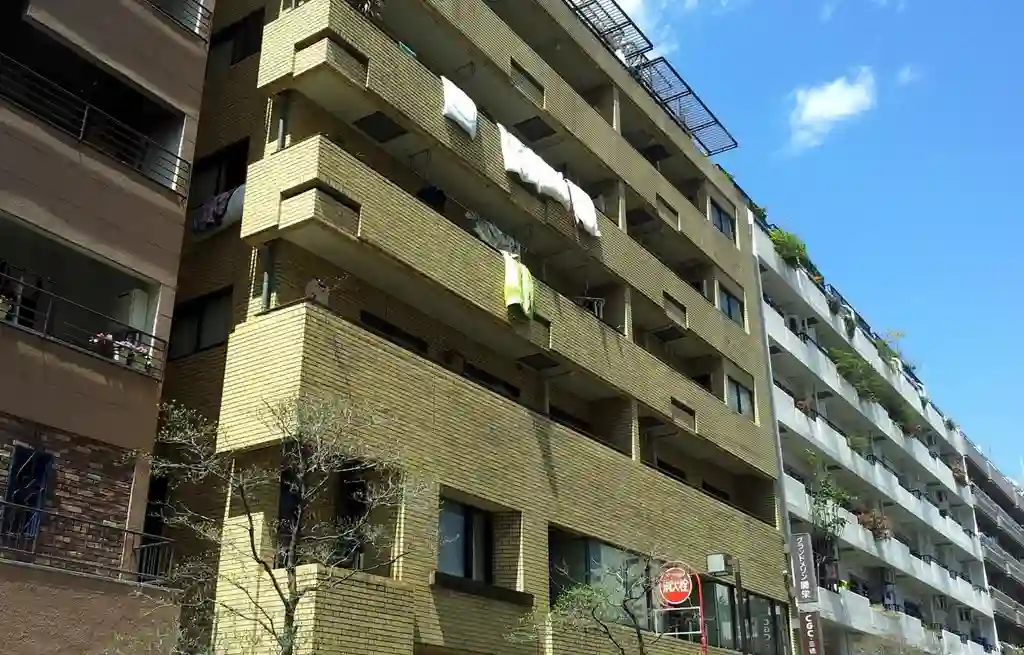グランドメゾン開栄 外観