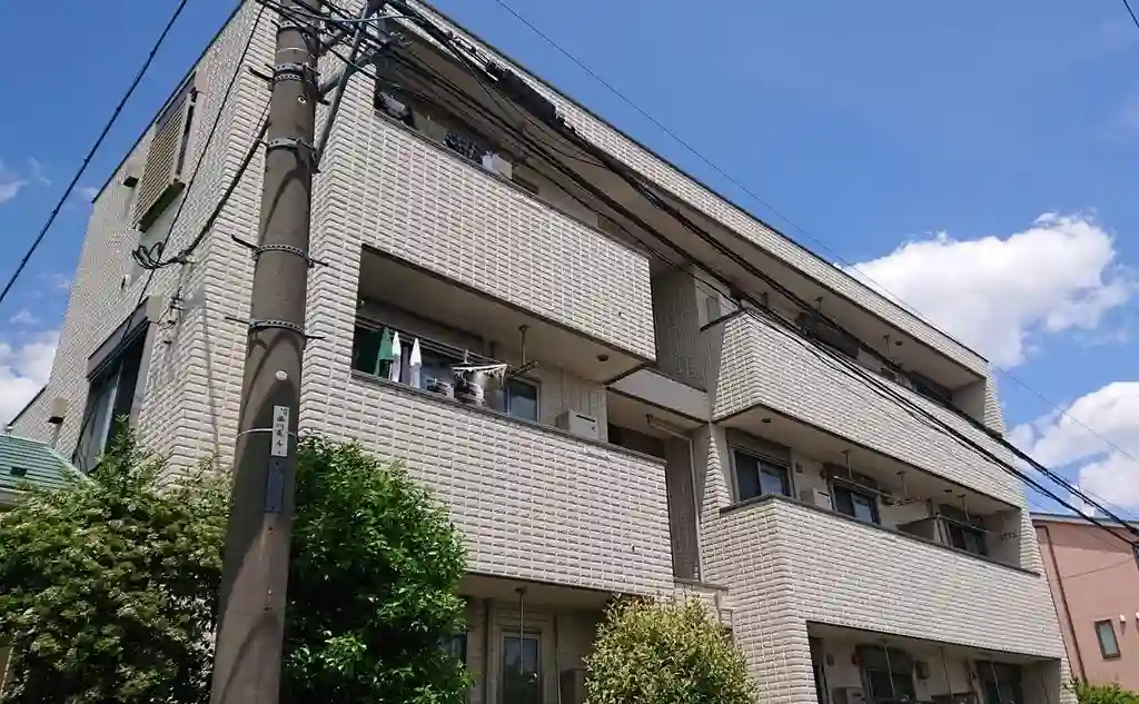 SPIANO1 外観