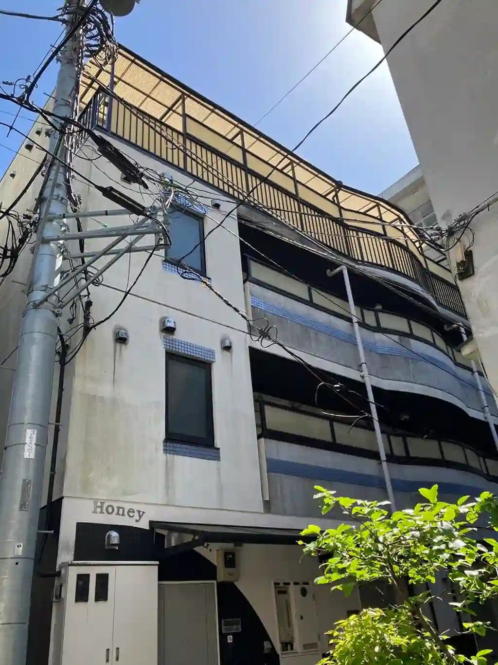 ハニービービル 外観