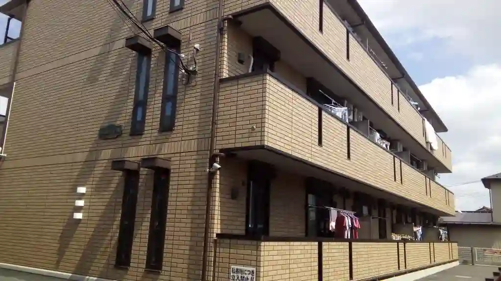 Sakula II 外観