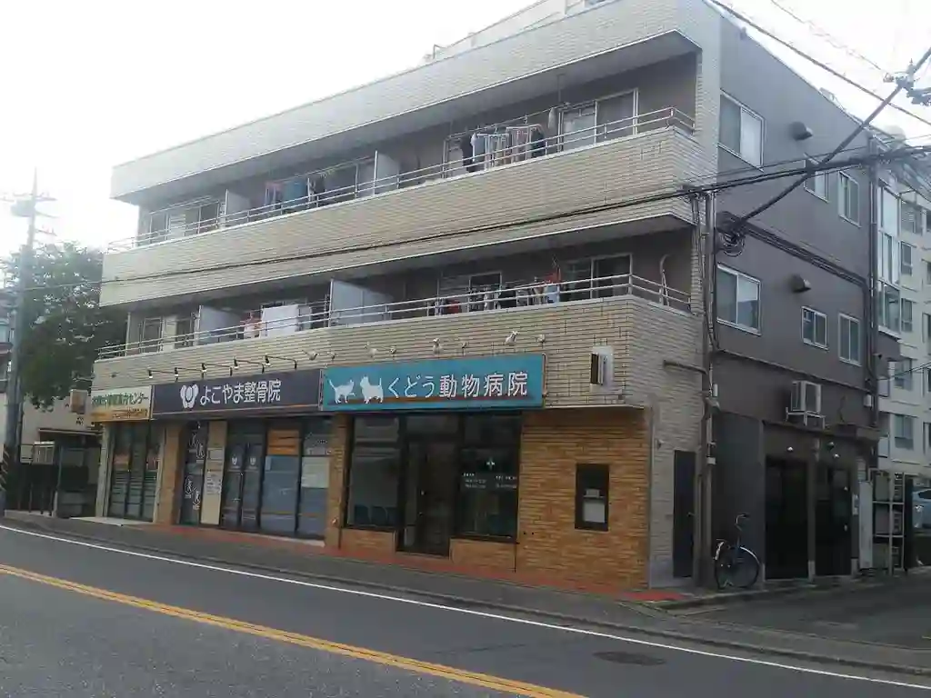 関本屋ビル 外観
