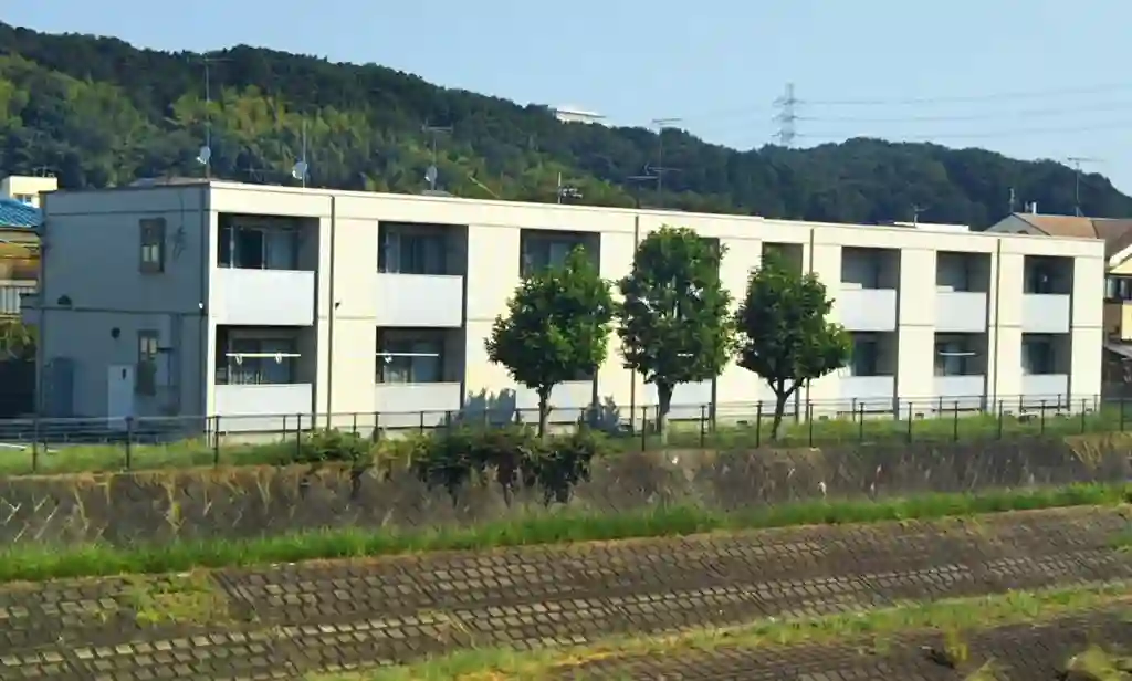 レビー 外観