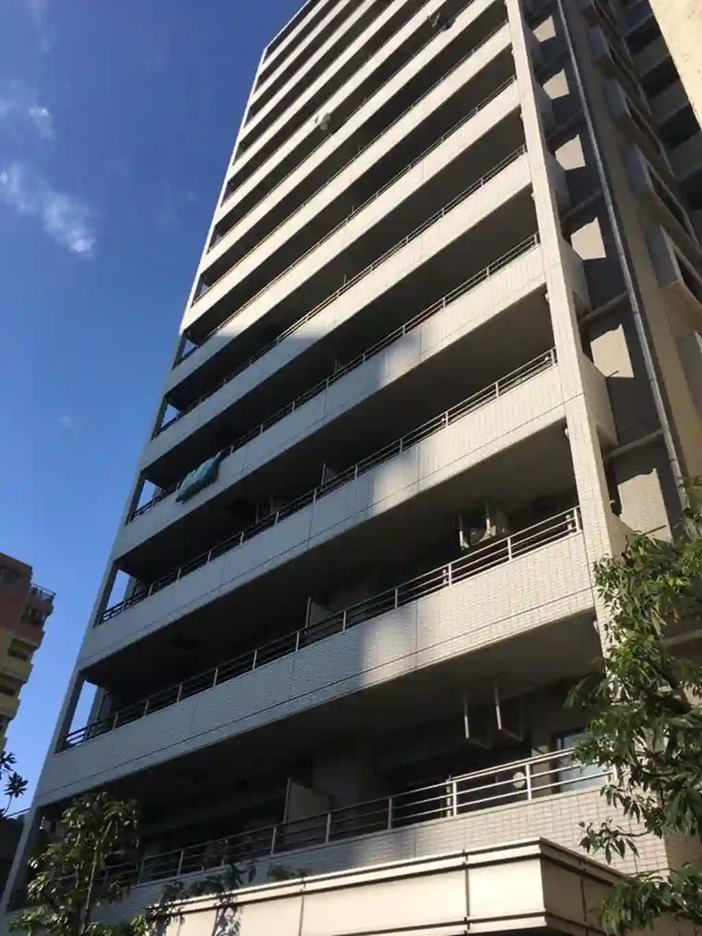 ライオンズプラザ両国緑 外観