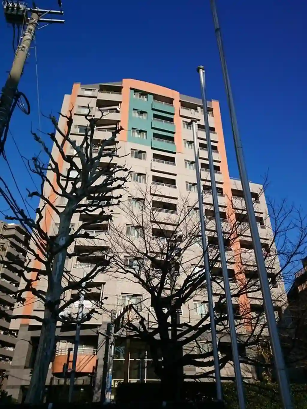 リシェ大井アネックス 外観