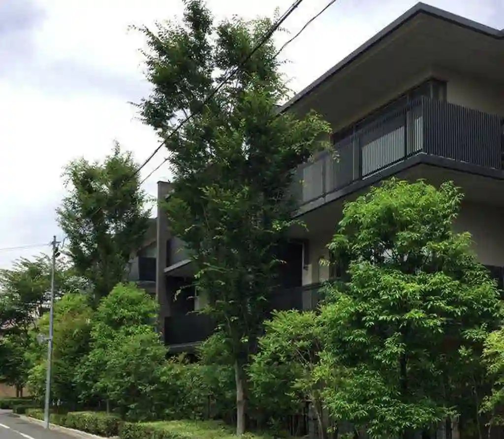 リーフィアレジデンス等々力 外観