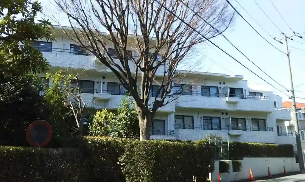 中銀世田谷桜丘マンシオン 外観
