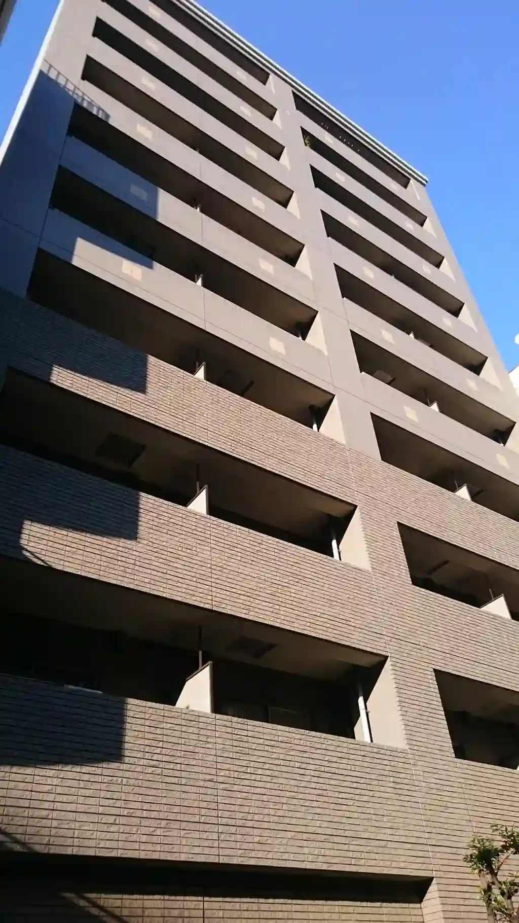 セントラルハーギー板橋 外観