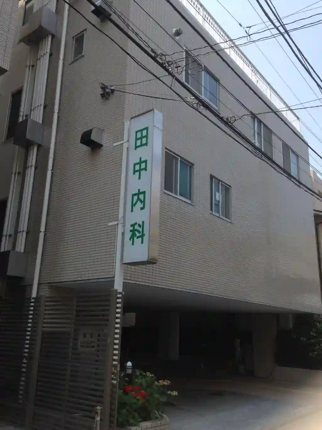trad K 外観