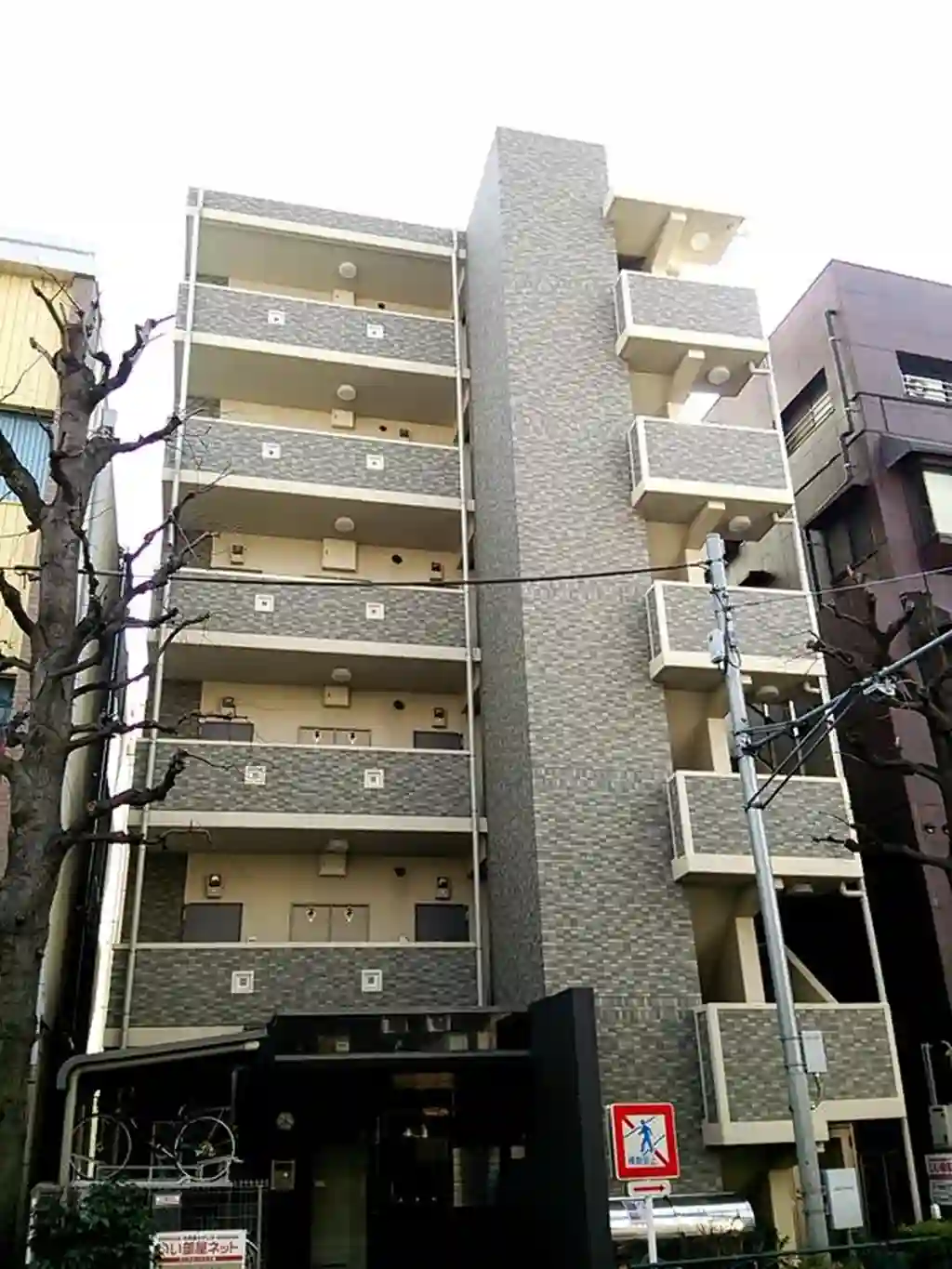 バムブーグラス 外観