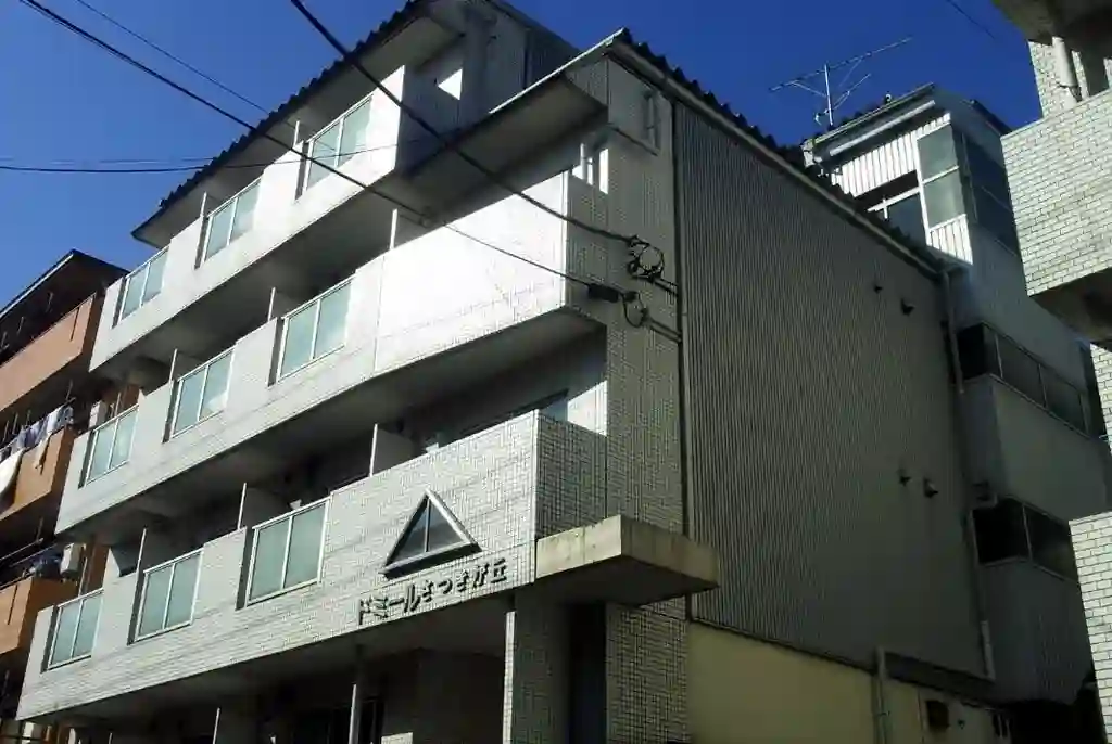 ドミールさつきが丘 外観